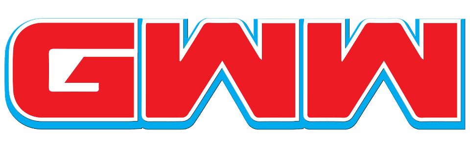 GameWise Women responsible gambling initiative logo